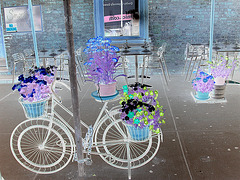 New- york city - Vélo fleuri - Colourful flowery bike -  Photofiltre- Effet de négatif.