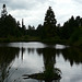 20 Bedgebury Pinetum Pond