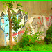 Graffitis et dessins artistiques.   Dans ma ville.  Été 2008