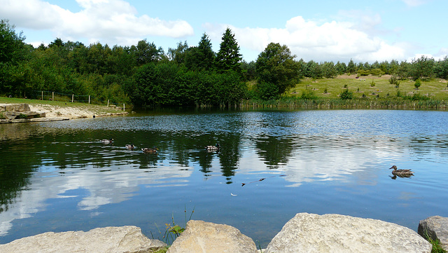 24 Bedgebury Pinetum Visitor Centre