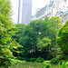 New-York city - Grenouilles & modernité surexposée /  Frogs & overexposed modernity.