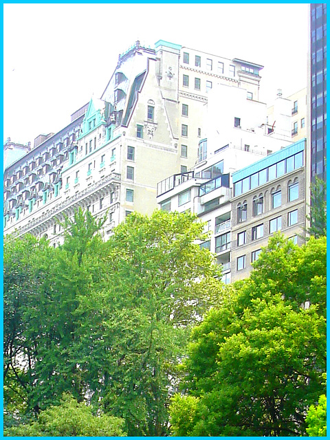 New-York city -Verdure et surexposition -  Greenery and overexposition. 20 juillet 2008.