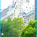 New-York city -Verdure et surexposition -  Greenery and overexposition. 20 juillet 2008.