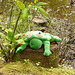9 Bedgebury Pinetum Silly Frog
