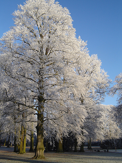 Nederland - Apeldoorn, Oranjepark