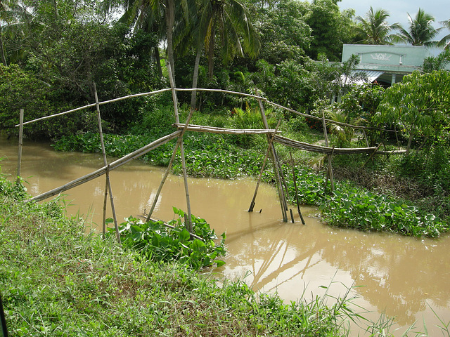 Brücke