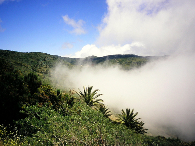 Nebel vor Las Hayas