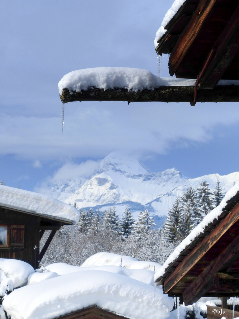 Pour ceux qui n'ont pas vu l'hiver