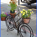 Vélo en fleurs- Flowery bike- NYC.