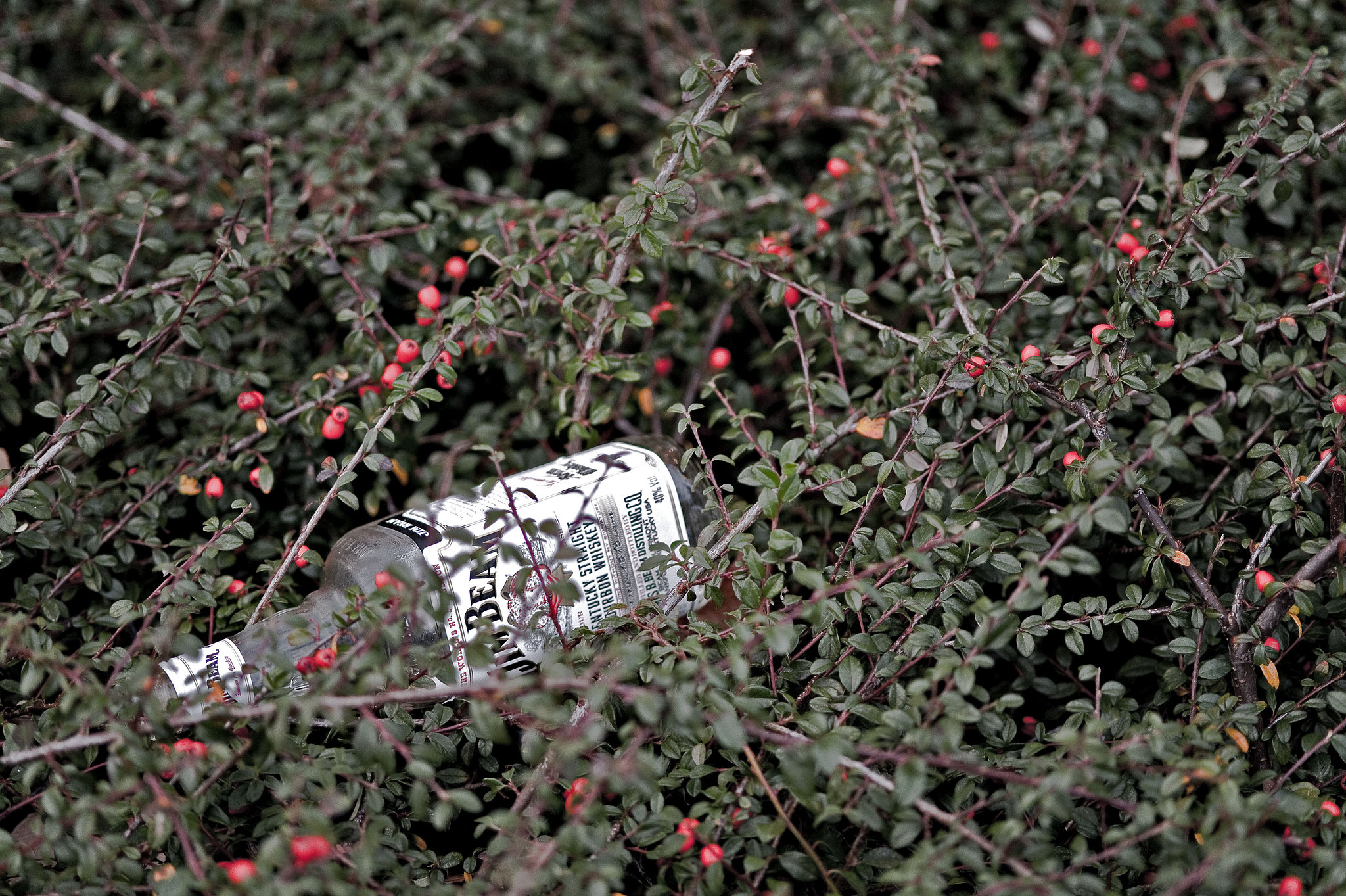 Jim Beam
