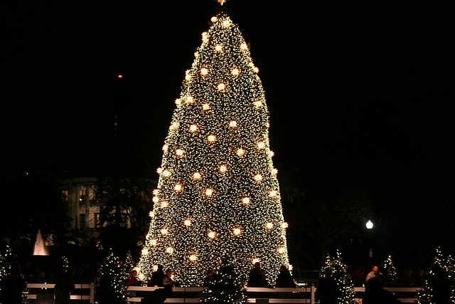 NationalChristmasTreePageantOfPeace.Ellipse.WDC.15dec08