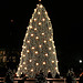 NationalChristmasTreePageantOfPeace.Ellipse.WDC.15dec08