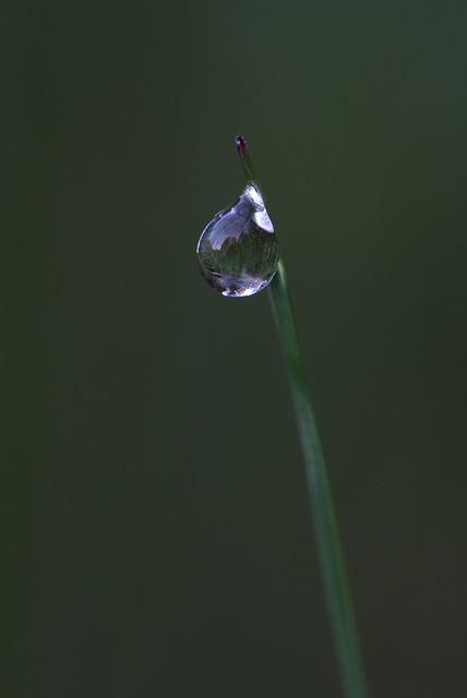 Water Drop