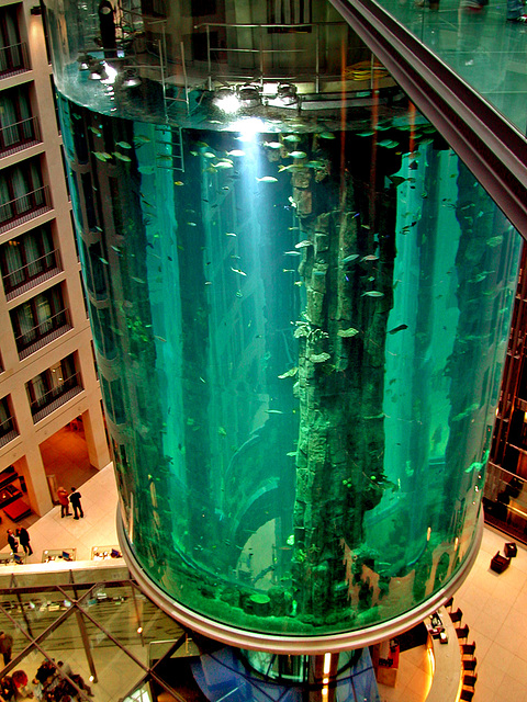 Aquarium Berlin