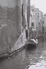 Venice 42