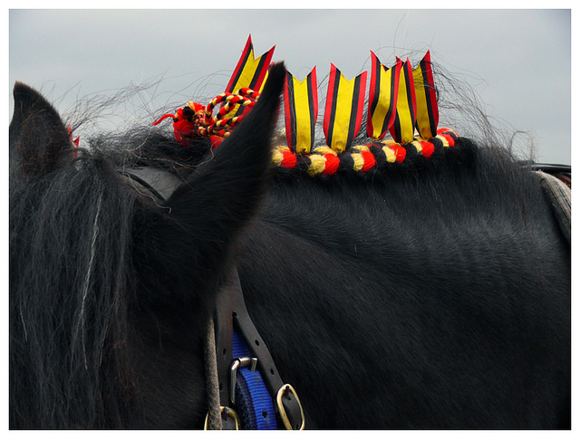 Ploughing Horses 3