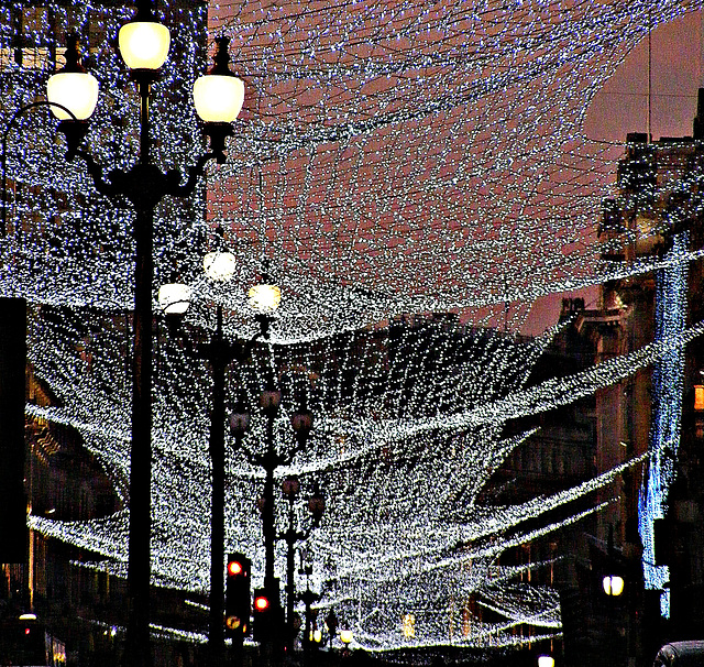 Canopy of lights