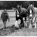 Ploughing Horses 2