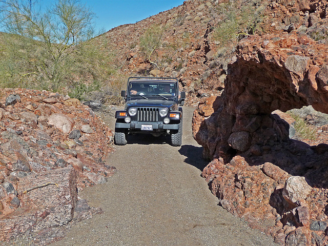 Arch in Chuckawalla Canyon (2239)