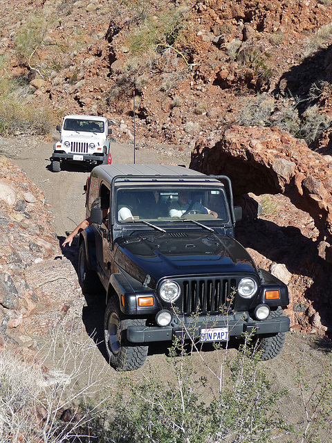 Arch in Chuckawalla Canyon (2241)