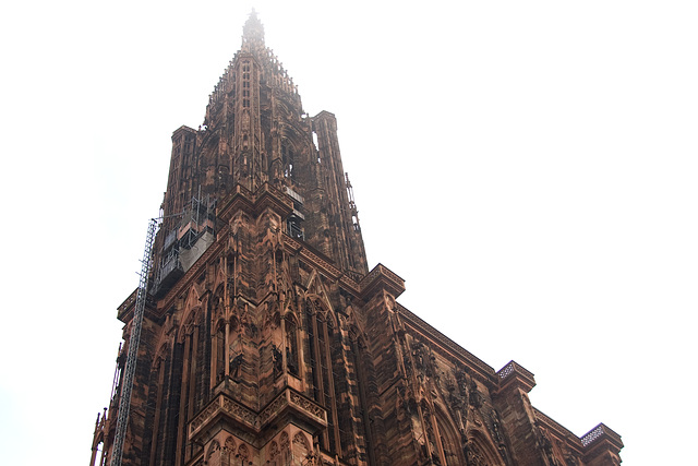 Notre-Dame en Brouillard