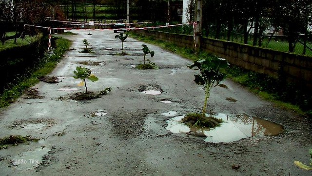 Serra da Estrela, Várzea de Meruge, uncommon kitchen garden on the road