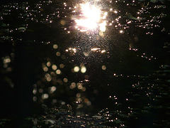 Reflections of Bokeh