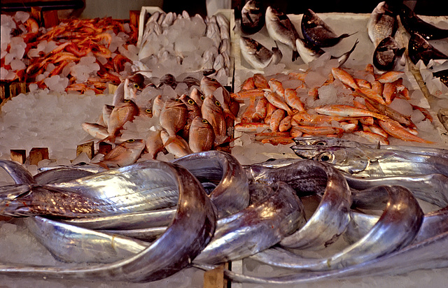 Fish Market Palermo - 1