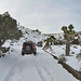 Nevada Snow (3481)