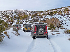Nevada Snow (3484) Nevada Snow (3484)