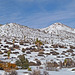 Nevada Snow (3488)