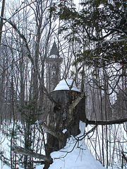 Abbaye de St-Benoit-du-lac  /   Québec - Canada -  7 Février 2009