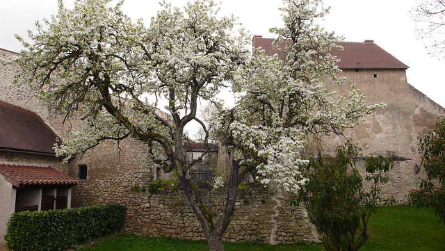 Charroux