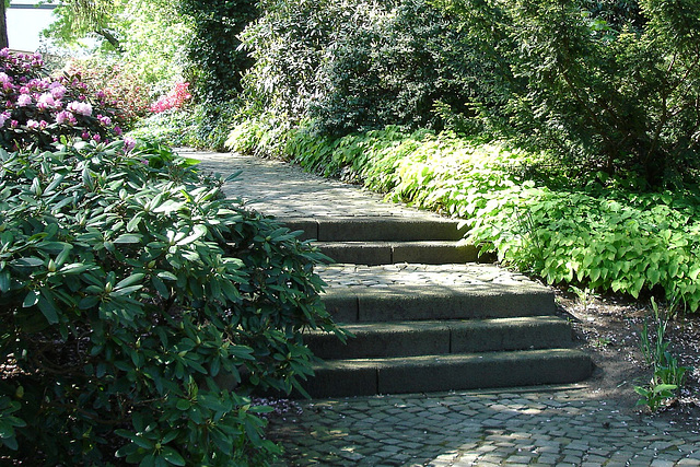 Stufen in Plantenen undBlomen