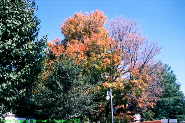 Fall Colors In Saratoga, Saratoga, NY, USA, 2008