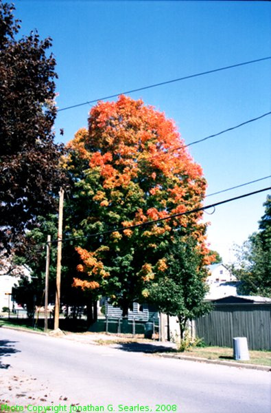 Fall Colors In Saratoga, Picture 2, Saratoga, NY, USA, 2008