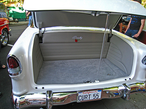 1955 Chevy (3343)