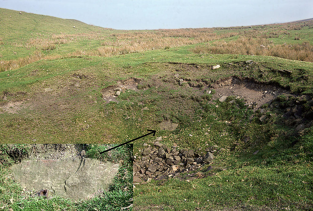 Horse gin mining