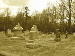 Immaculate heart of Mary cemetery - Churubusco. NY. USA.  March  29th 2009  -   O ' Brien.....Sepia.