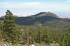 View Across Round Valley (0467)