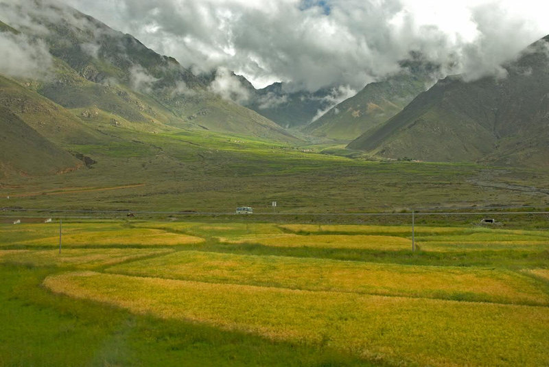 View over the grain fields to the highway