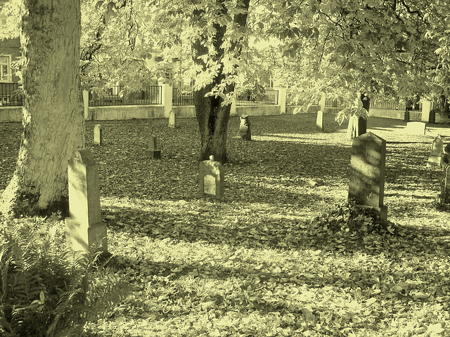 Cimetière de Ängelholm - Suède /Sweden - Vintage / Photo ancienne