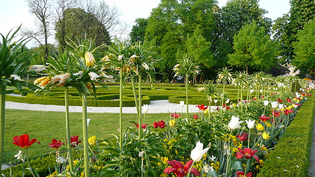 Park in Schloß Neuhaus - Westfalen