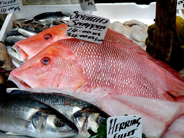 Seychelles Snapper and Herring Fillets