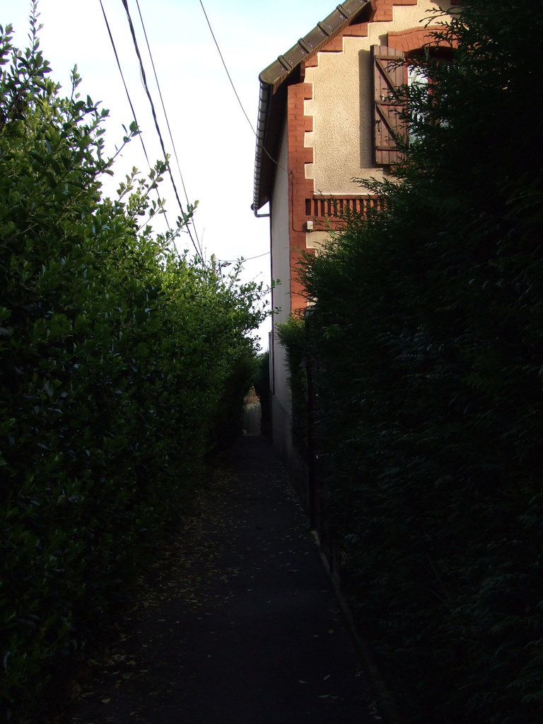 2008 03010017