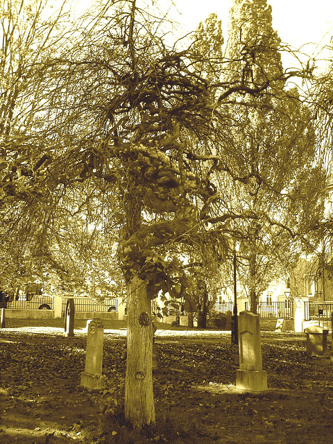 Cimetière et église / Cemetery & church - Ängelholm.  Suède / Sweden.  23 octobre 2008- Sepia