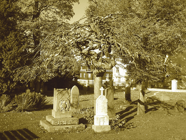 Cimetière de Ängelholm - Suède / Sweden  /  23 octobre 2008 - Sepia