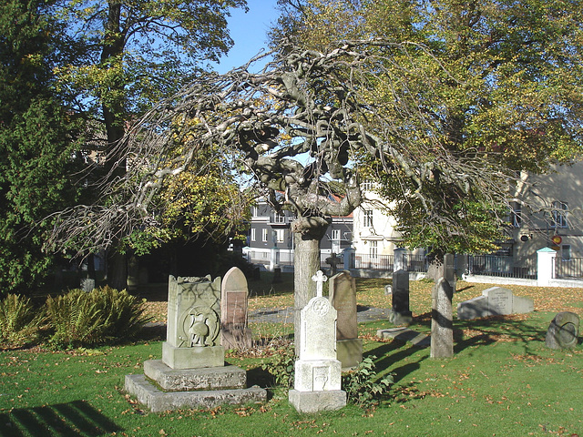 Cimetière de Ängelholm - Suède / Sweden  /  23 octobre 2008