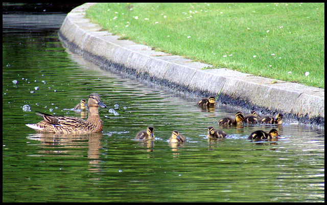 Familienausflug / Family - trip