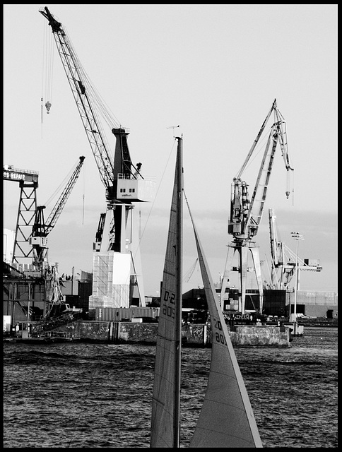 Cranes with sailboat